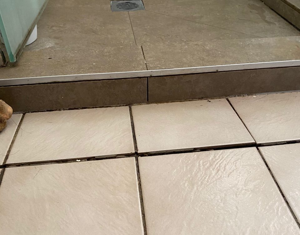 Shower tiles are loos and moving